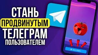 Как сделать ВИДЕОСТИКЕРЫ Телеграм. САМЫЙ ЛЕГКИЙ СПОСОБ