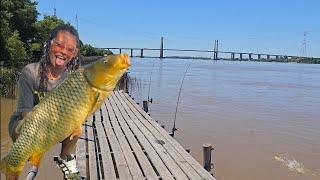 TREMENDA PESCA DE ESTE MUELLE! 