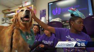 Good Behavior, Great reward: How dogs are making 6th grade better at Bessemer Middle School