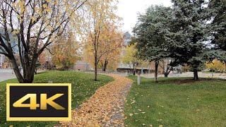 Anchorage, Alaska Walking Tour in 4K