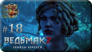 The Witcher 2:Assassins of Kings[#18] - Главный Свидетель (Прохождение на русском(Без комментариев))