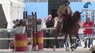 José Antonio Olea Rodríguez & Turronero.  Prueba de  Manejabilidad