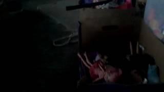 Storm aka kitty attack