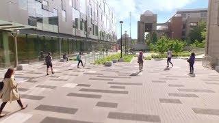 Global Health at York University