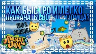 КАК быстро и легко ПРОКАЧАТЬ СВОЕГО ПИТОМЦА? • ТОП 3 СПОСОБА • AJ • С Новым годом!