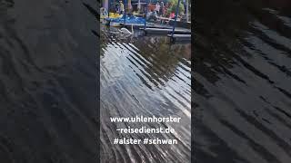 @WWF @alstertouristik #schwan #alster #Schifffahrt #hamburg #weisseflotte