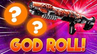 This New Shotgun God Roll Made Me Actually USE a Shotgun! | Destiny 2