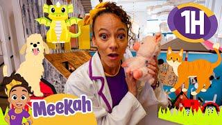 Meekah Becomes A Vet! | Meekah's Animal Adventures | Educational Videos for Kids | Blippi and Meekah