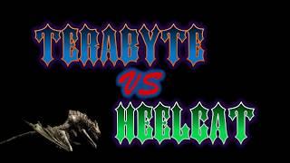 TeraByte vs HeelCat