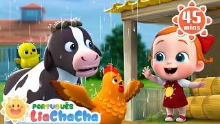 Sons dos Animais e Chuva Chuva | Compilação | LiaChaCha  - Música Infantil & Canção Infantil