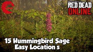 Hummingbird Sage Locations RDR2 Online - Red Dead Online Hummingbird Sage Location Guide