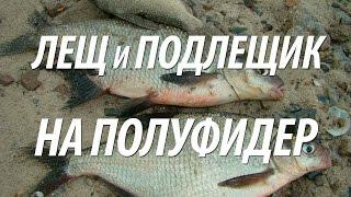 КАК ЛОВИТЬ ЛЕЩА И ПОДЛЕЩИКА НА ТРУДНЫХ ВОДОЁМАХ СНАСТЬЮ ПОЛУФИДЕР