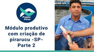 Módulo produtivo com criação de pirarucu - SP- Parte 2