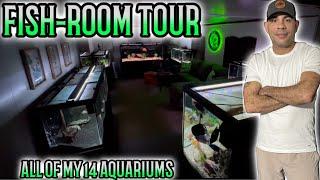 All of my 14 Aquariums Fish Room Tour