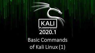 Basic Commands in Kali Linux (1)