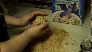 Chop Shop - Fried Ice Cream (Neapolitan).mpg