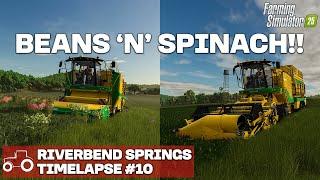 HARVESTING GREEN BEANS & SPINACH!! Riverbend Springs FS25 Timelapse Farming Simulator 25 Ep 10