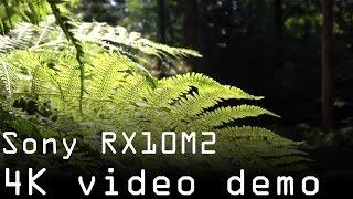 In the forrest with Sony RX10M2 (4K footage)