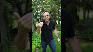 HOW TO GET PLANTS FOR FREE  Frankie Flowers