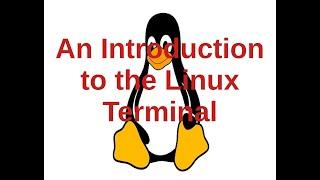 LINUX SUNDAYS Episode 3: Season 1 of learning Linux with TaToG Tech: A Brief Intro to the Terminal