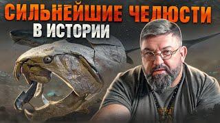 История происхождения СИЛЬНЕЙШИХ челюстей в ИСТОРИИ!