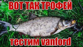 Здоровенный язь на ультралайт | Первый тест shimano vanford и сразу трофей | Минус ридж