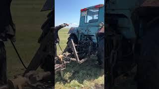 Самая лучшая работа в мире. #деревня #трактор #работа