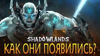 ИСТОРИЯ ТЕМНЫХ ЗЕМЕЛЬ [World of Warcraft: Shadowlands]