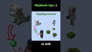 What is the biggest mistake in skyblock?