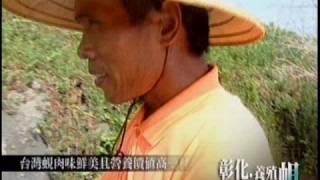 台灣之美-彰化養殖蚬
