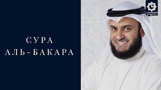 Сура Аль-Бакара, Мишари Рашид | Alafasy Al-Baqarah