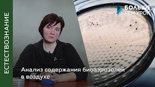 Мастер-класс «Анализ содержания биоаэрозолей в  воздухе»