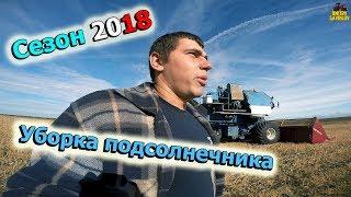 Уборка подсолнечника 2018