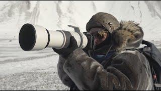 Explore Svalbard In Spring With National Geographic Photography Expert Camille Seaman