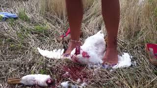 GIRL SLAUGHTER TWO DUCKS - Video 3