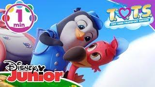 T.O.T.S. | Bringing This Baby Home Music Video  | Disney Kids