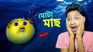 I Became a Fat Fish - I Am Fish Part 5 || The Bangla Gamer