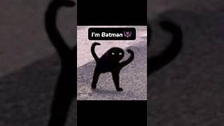 [I'm Batman ] #cat  #edit #meme #capcut