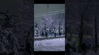 Winter Photography #shorts #winterphotography #landscapephotography