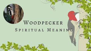 3 Reasons Why You See The WoodPecker | WoodPecker Spiritual Meaning | Woodpecker Spirit Animal