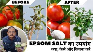 Epsom Salt for Plants I Epsom Salt Benefits in hindi I Epsom salt kya hai ?। Taarun Chopraa