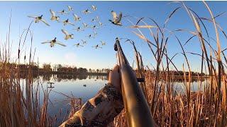 Marsh Duck Hunting for a Mixed bag! (4 man limit)