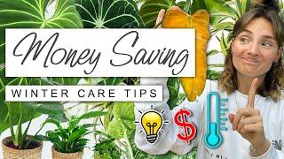 Spend Less + Keep Your Houseplants THRIVING This Winter ️ Money Saving Winter House Plant Tips 