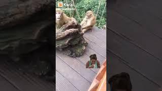 kepergok mesum di hutan