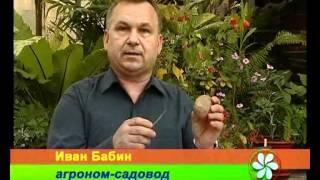 СЕЗОН ЗАБОТ 26 04 2012 ч1