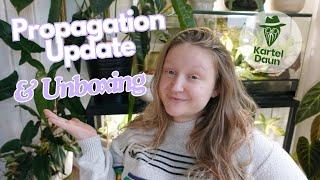 Propagation Update & Care 🪴| Kartel Daun Unboxing 