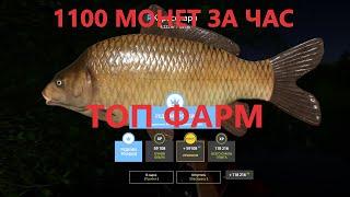 Безумный фарм на Медном 1100 серебра за час #рр4 #фарм #карпыкои