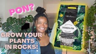 PON 101: A BEGINNERS GUIDE to What is Lechuza PON? | COMPLETE Care Guide