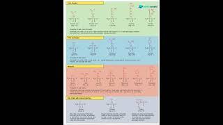 Amino Acid Structure Explained  | Biotic World Shorts