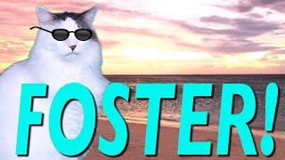 HAPPY BIRTHDAY FOSTER! - EPIC CAT Happy Birthday Song